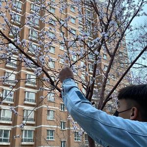 学生被❌娇喘出奶视频
